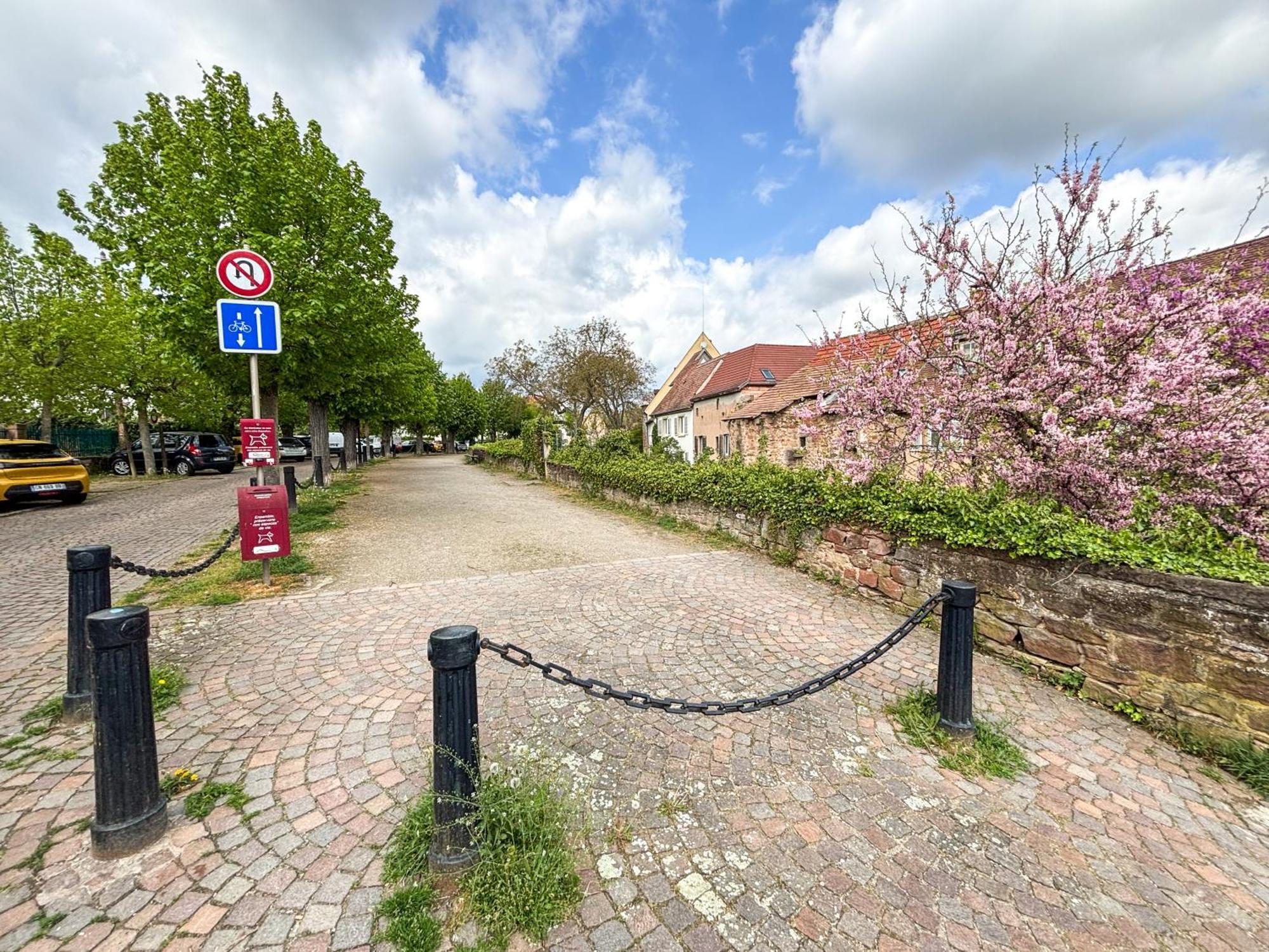 Le Pavillon Des Remparts - Commerces A Proximite - Centre-Ville - Appartement Cosy Obernai Esterno foto
